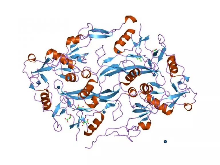 Follistatin 344 – 100 VIALS AT 50 PERCENT OFF - Image 5