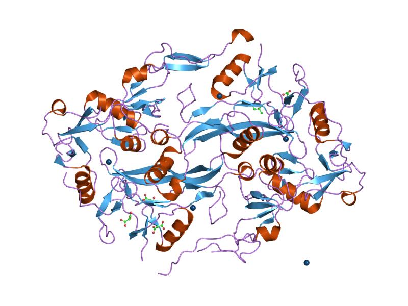 Follistatin 344 – 100 VIALS AT 50 PERCENT OFF - Image 3
